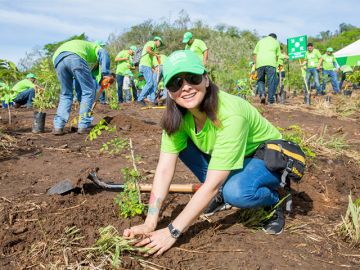 p-colorada-reforestacion-2019-03