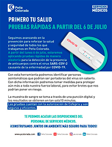 pruebas rapidas