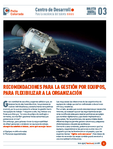 p-colorada-recomendaciones-gestion-equipos-flexibilidad-organizacion