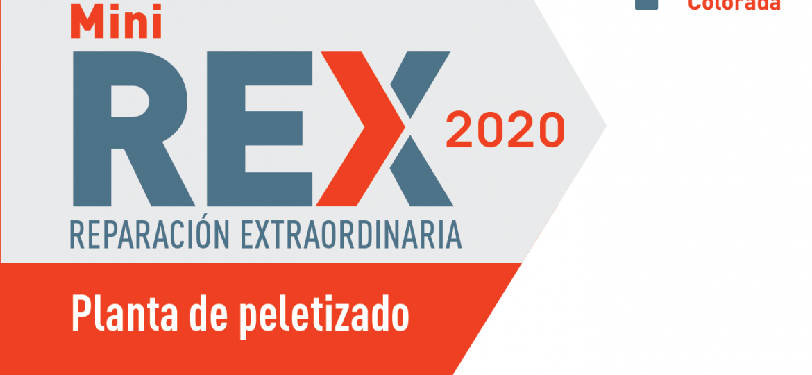 REX_mini2020_redes-01