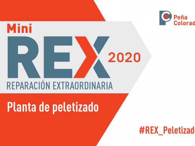 REX_mini2020_redes-01