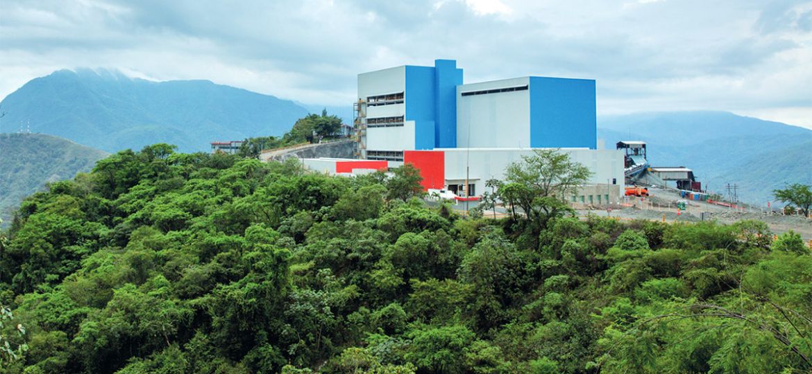 img-planta-pcolorada