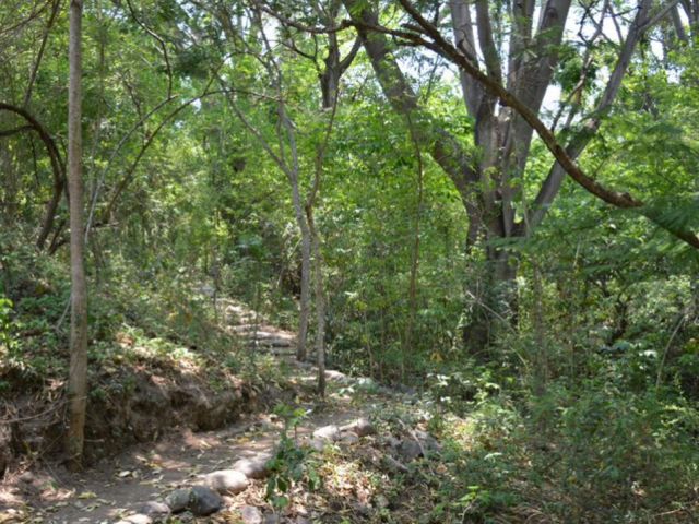 habitos-conductas-prevenir-incendios-forestales-1