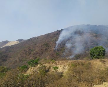 Transformacion-en-equilibrio-incendios