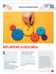 Tn-boletin-8-replantear-la-excelencia